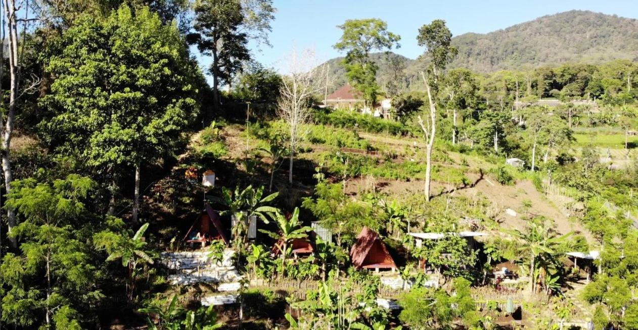 Eco Bedugul Adventurer Camp Panzió Kültér fotó