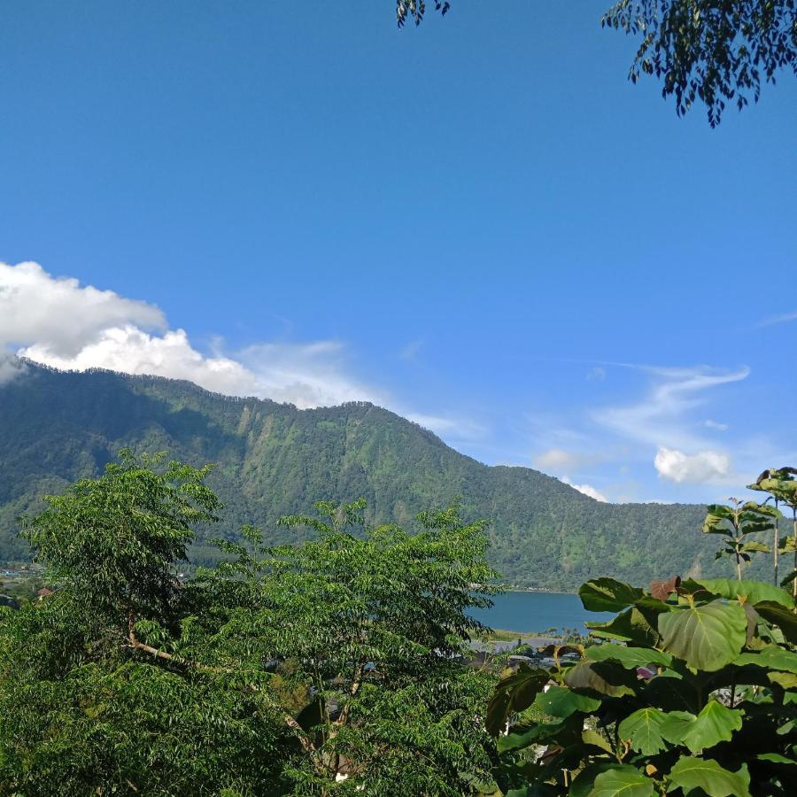 Eco Bedugul Adventurer Camp Panzió Kültér fotó