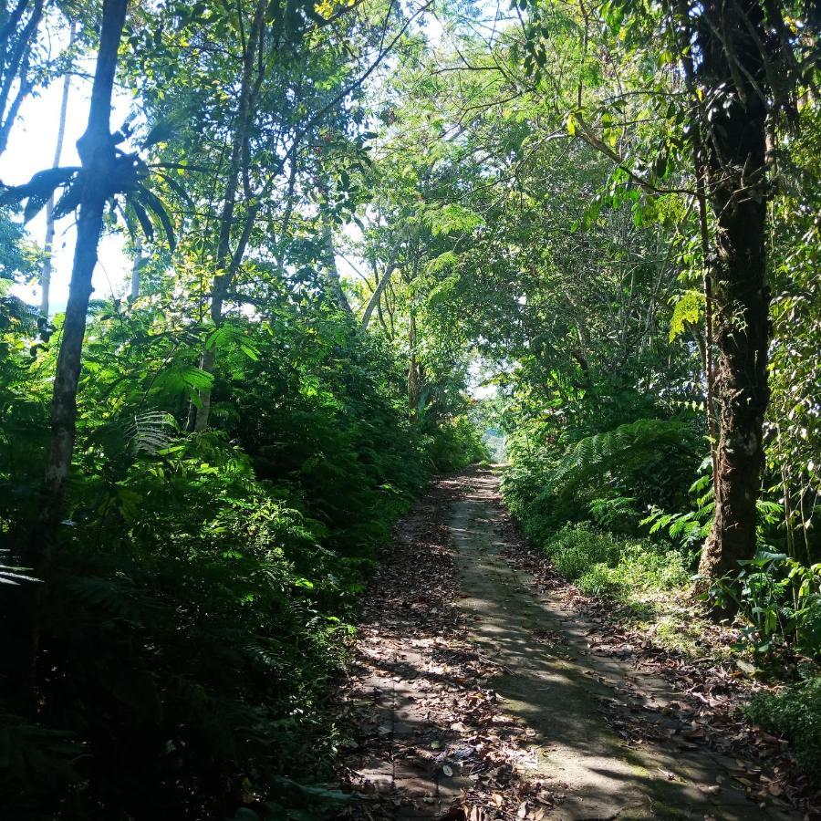 Eco Bedugul Adventurer Camp Panzió Kültér fotó
